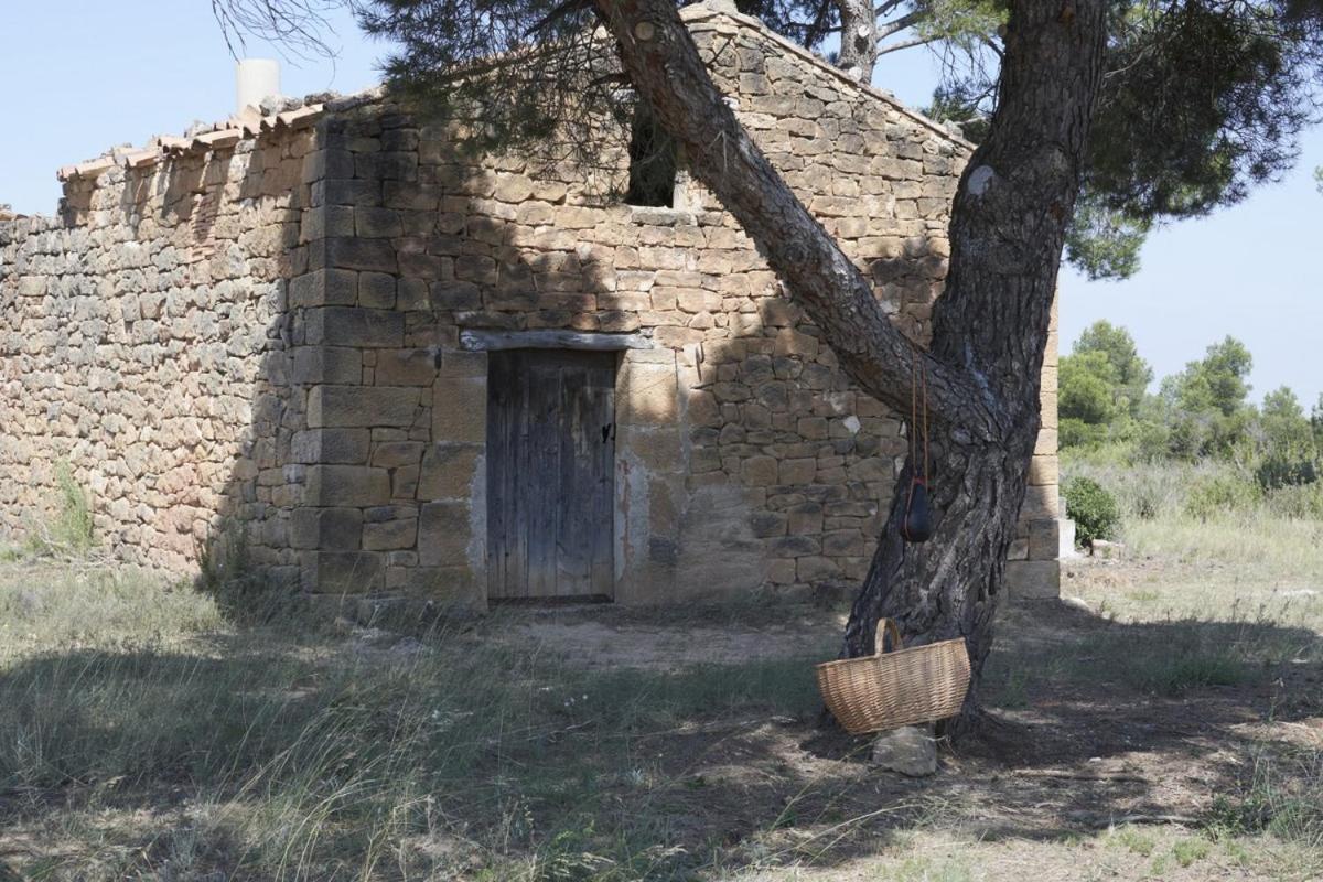 Villa La Casa Del Lino Torrebeses Exterior foto